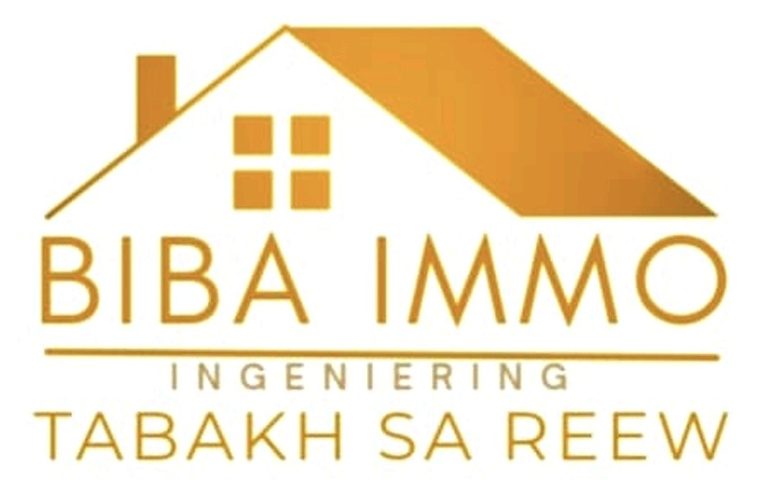 BIBA IMMO