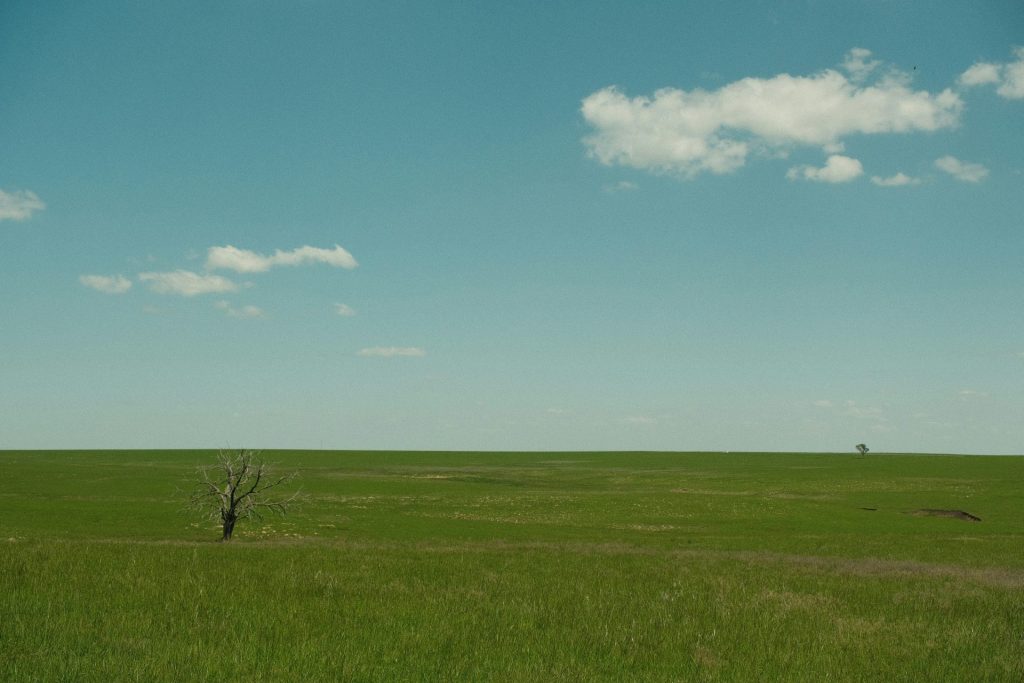 Green field and blue sky create a peaceful landscape.